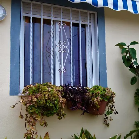 Magnifico Apartamento En Moncofa *